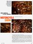 Page: - 41 | Cycle World