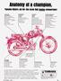 Page: - 35 | Cycle World