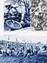 Page: - 63 | Cycle World