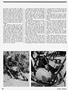 Page: - 60 | Cycle World