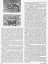 Page: - 68 | Cycle World