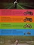 Page: - 59 | Cycle World