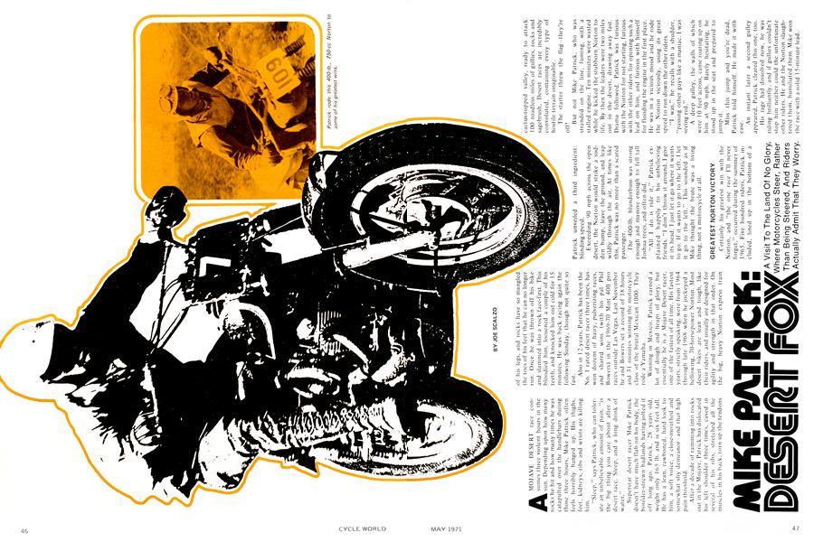 Mike Patrick: Desert Fox