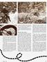 Page: - 53 | Cycle World