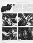 Page: - 22 | Cycle World