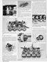 Page: - 76 | Cycle World