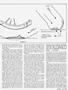 Page: - 113 | Cycle World