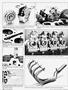 Page: - 100 | Cycle World