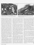 Page: - 36 | Cycle World