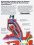 Page: - 119 | Cycle World