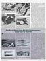 Page: - 45 | Cycle World