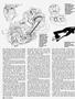 Page: - 66 | Cycle World