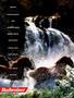 Page: - 21 | Cycle World