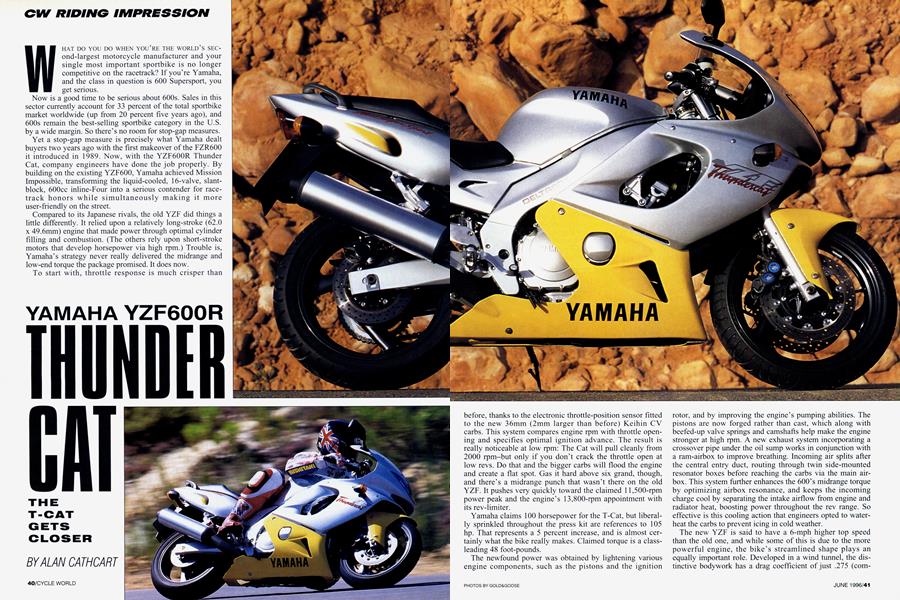 Yamaha Yzf600r Thunder Cat