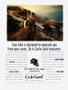 Page: - 65 | Cycle World