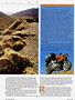 Page: - 81 | Cycle World