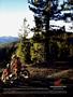 Page: - 109 | Cycle World