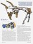 Page: - 34 | Cycle World