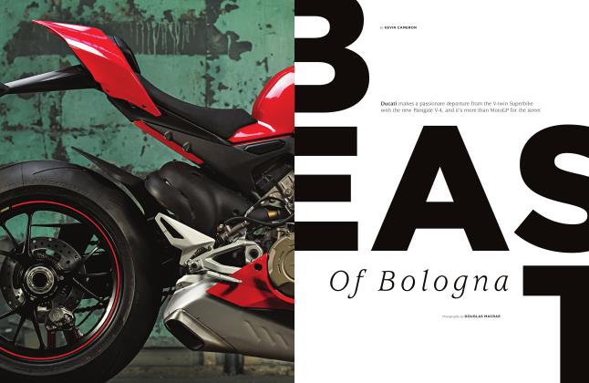 Best of Bologna